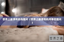 世界上最漂亮的鸟图片（世界上最漂亮的月季花图片）