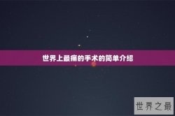世界上最痛的手术的简单介绍