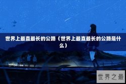 世界上最直最长的公路（世界上最直最长的公路是什么）