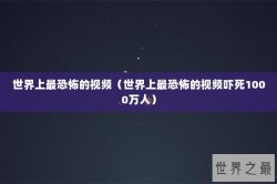 世界上最恐怖的视频（世界上最恐怖的视频吓死1000万人）