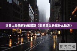 世界上最稀有的花鹭草（鹭鸶草生长在什么地方）