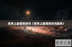 世界上最尊贵的马（世界上最尊贵的马视频）