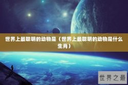 世界上最聪明的动物是（世界上最聪明的动物是什么生肖）