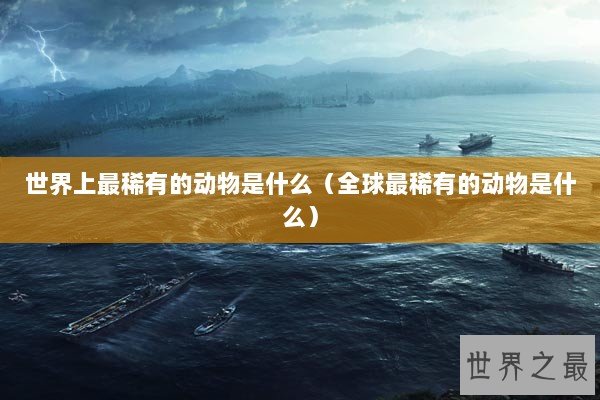 世界上最稀有的动物是什么（全球最稀有的动物是什么）