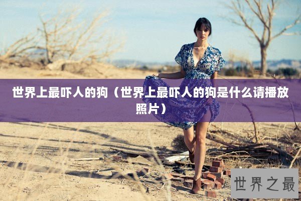 世界上最吓人的狗（世界上最吓人的狗是什么请播放照片）