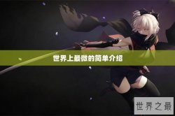世界上最微的简单介绍