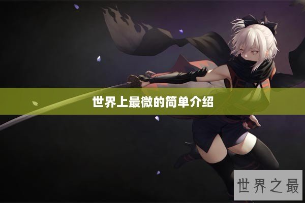 世界上最微的简单介绍