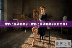 世界上最破的房子（世界上最破的房子长什么样）