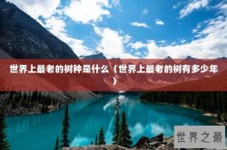 世界上最老的树种是什么（世界上最老的树有多少年）