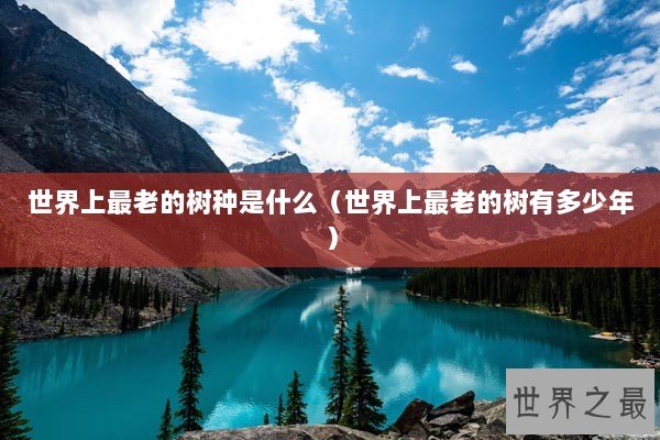 世界上最老的树种是什么（世界上最老的树有多少年）