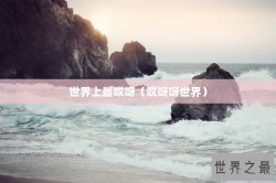 世界上最哎呀（哎呀呀世界）