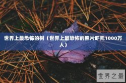 世界上最恐怖的树（世界上最恐怖的照片吓死1000万人）