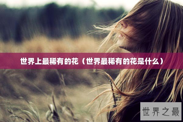 世界上最稀有的花（世界最稀有的花是什么）
