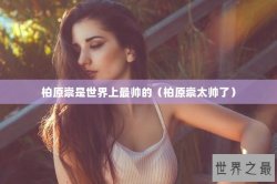 柏原崇是世界上最帅的（柏原崇太帅了）