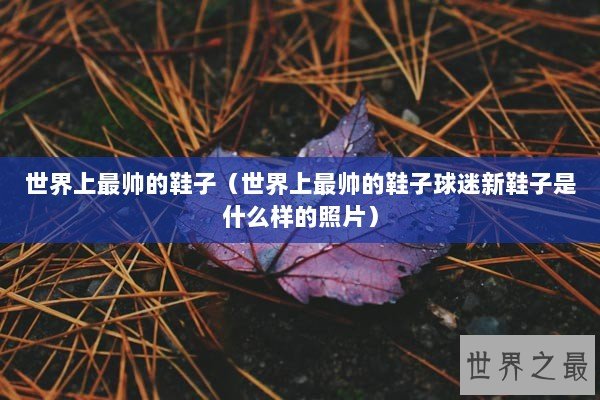 世界上最帅的鞋子（世界上最帅的鞋子球迷新鞋子是什么样的照片）