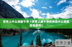 世界上什么球最干净（世界上最干净的球是什么球脑筋急转弯）