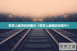世界上最帅的剑图片（世界上最酷的剑图片）