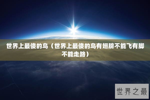 世界上最傻的鸟（世界上最傻的鸟有翅膀不能飞有脚不能走路）