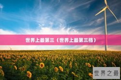 世界上最第三（世界上最第三档）