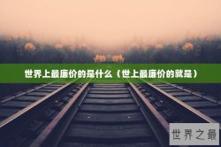 世界上最廉价的是什么（世上最廉价的就是）