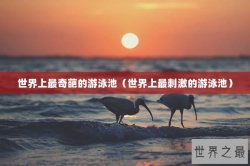 世界上最奇葩的游泳池（世界上最刺激的游泳池）