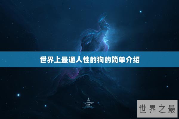 世界上最通人性的狗的简单介绍