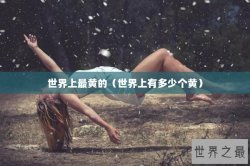 世界上最黄的（世界上有多少个黄）