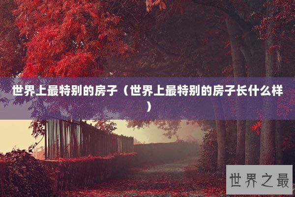 世界上最特别的房子（世界上最特别的房子长什么样）