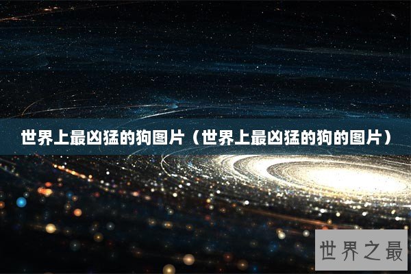 世界上最凶猛的狗图片（世界上最凶猛的狗的图片）