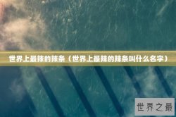 世界上最辣的辣条（世界上最辣的辣条叫什么名字）