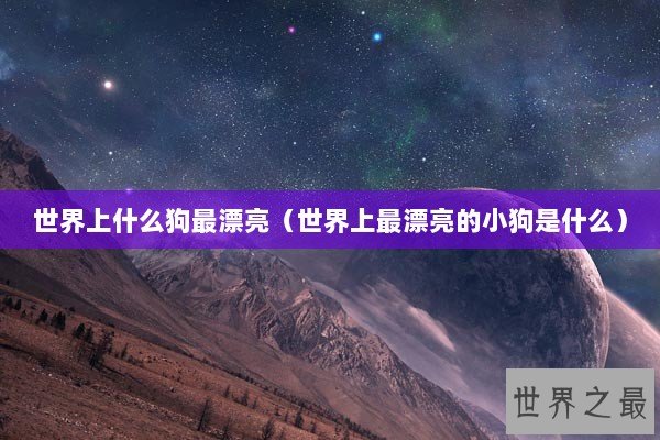 世界上什么狗最漂亮（世界上最漂亮的小狗是什么）