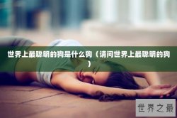世界上最聪明的狗是什么狗（请问世界上最聪明的狗）