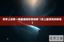 世界上还有一种最值得珍视的桥（世上最漂亮的桥是）