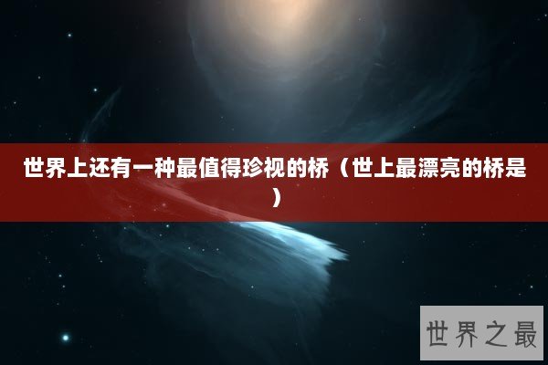 世界上还有一种最值得珍视的桥（世上最漂亮的桥是）