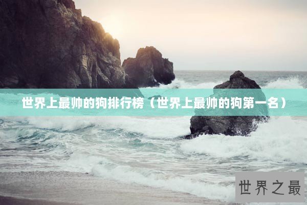 世界上最帅的狗排行榜（世界上最帅的狗第一名）