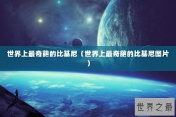 世界上最奇葩的比基尼（世界上最奇葩的比基尼图片）