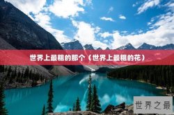 世界上最粗的那个（世界上最粗的花）