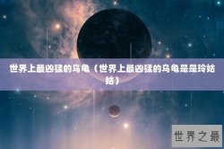 世界上最凶猛的乌龟（世界上最凶猛的乌龟是是玲姑姑）