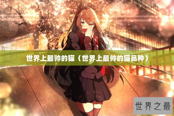 世界上最帅的猫（世界上最帅的猫品种）