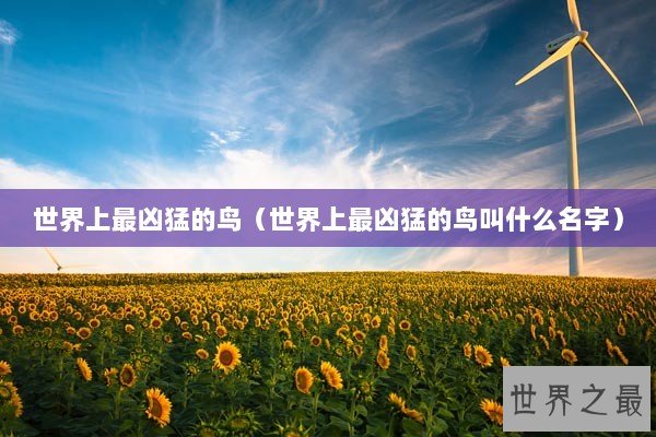 世界上最凶猛的鸟（世界上最凶猛的鸟叫什么名字）