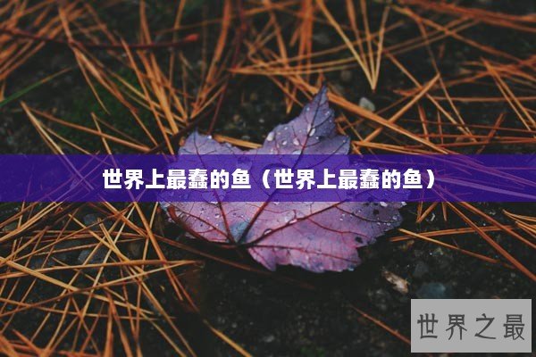 世界上最蠢的鱼（世界上最蠢的鱼）