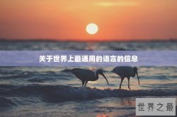 关于世界上最通用的语言的信息