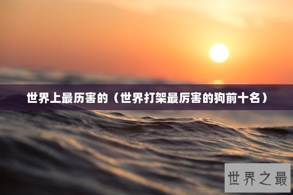 世界上最历害的（世界打架最厉害的狗前十名）