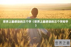 世界上最感动的三个字（世界上最感动的三个字知乎）