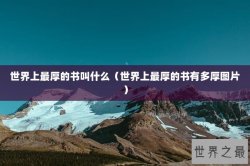 世界上最厚的书叫什么（世界上最厚的书有多厚图片）