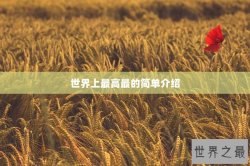 世界上最高最的简单介绍