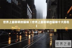 世界上最聪明的猫咪（世界上最聪明的猫咪十大排名）