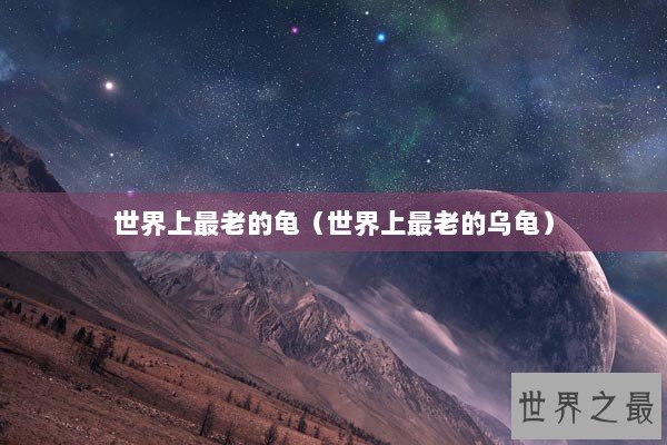 世界上最老的龟(世界上最老的乌龟) 世界上最老的龟(世界上最老的乌龟)