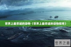 世界上最忠诚的动物（世界上最忠诚的动物视频）