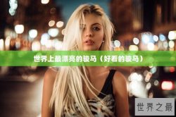 世界上最漂亮的骏马（好看的骏马）